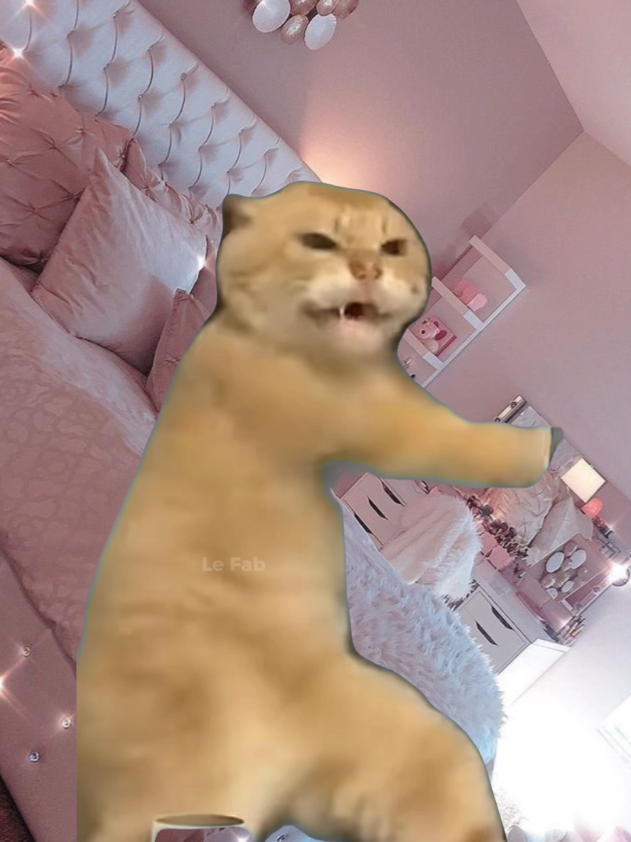 #Meme #MemeCut #CapCut #funny #foryou 