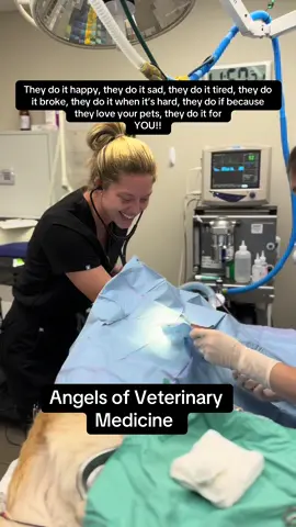 Definitely Angels #angels #vetmed #Tech #hospital 
