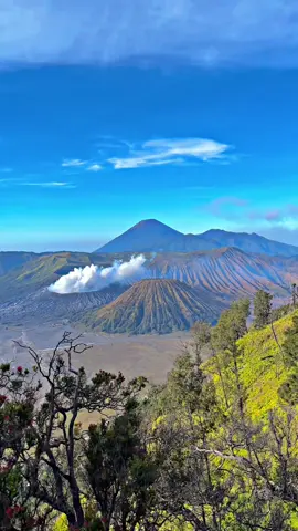 Pesona gunung bromo #bromo #bromotenggersemeru #penanjakanbromo #bromoviapasuruan #gunungbromo 
