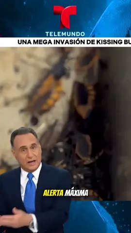 #usnews #usanews #breakingnews #news #eeuu