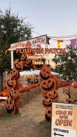 #halloween #pumpkinpatch #tampa #tampabay 