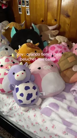 my squishmallows collection🫶🏼 (plus the ones on top)   #fyp #squishmallows #fypシ゚viral #parati #ilovethem 