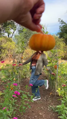 Pumpkin trend in my best friend’s very own pumpkin patch #pumpkintrend #pumpkinseason #pumpkin #pumpkinpatch #BestFriends @Janelle Babb @Z 