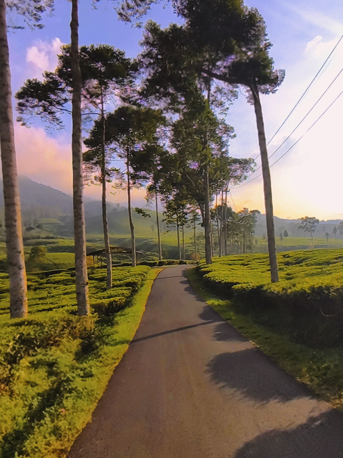 swiss van java #ciwidey #bandung  #cibuni #sunset 