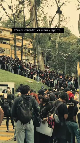 🗣No somos rebeldes, somos estudiantes hartos de la corrupción. Hoy no marchamos solo por la UV, marchamos por Poza Rica. Por las injusticias que duelen, por las voces que ya no están, por el futuro que merecemos. No más corrupción, no más negligencia, no más miedo. Queremos vivir con dignidad. Queremos ser escuchados. 📣 ¡La UV no se calla! ¡Exigimos la renuncia del rector! #SomosUV #UV #xalapa #zonauv #megamarcha 