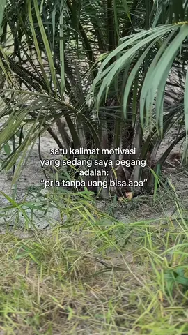 😜                                                       #fyppppppppppppppppppppppp #kulisawit🌴 #petanisawitindonesia🇮🇩🇮🇩🇮🇩🌿🌿 #sawitontiktok #4u 