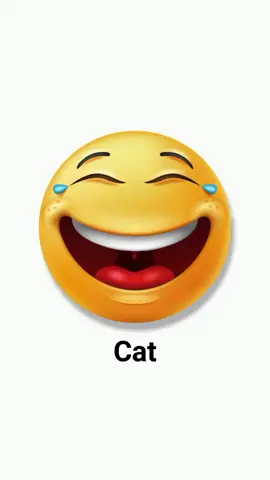Cat ‎ ‎‎#sound #effect #youtube #meme #2025