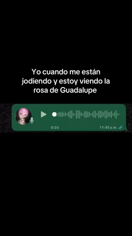 #humor #parati #fyppppppppppppppppppppppp #humortiktok #fypシ゚viral 