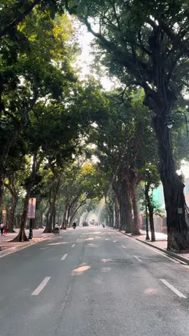 Thu Hà Nội bước vào thời điểm đẹp nhất🍂 Lên Phan Đình Phùng săn nắng sớm thui🥰 #phandinhphung #muathuhanoi #thuhanoi #langthangđườngphố #xuhuong 