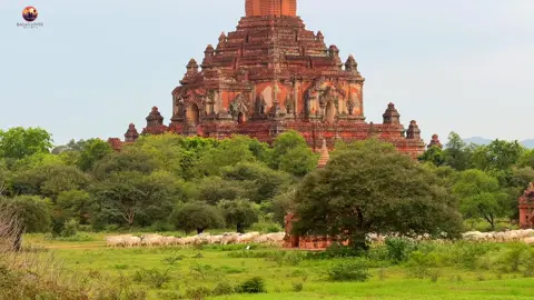 Bagan is calling 🍀 #foryou  #bagan  #baganlover 