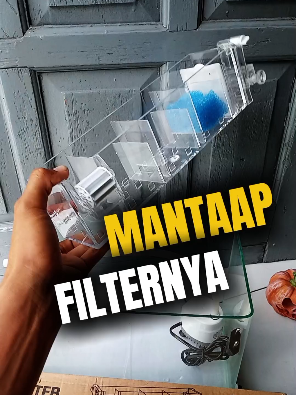 buset mantap ini Filter aquariumnya  sekecil ini 600 liter per jam daya sedotnya, sudah lengkap sama media filternya bahanya akrilik dilihatnya tuh rapih lebih menarik rekomended sih ini box filter talang atau top filter atau apalah ini nyebutnya