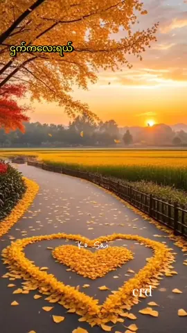 🎼 သီချင်းကောင်းလေးပါ..🎙 🎙မေမြတ်သူ🎙ဌက်ကလေးရယ်🎼#foryou #fypage #flypシ #maymartiktok🇲🇲 #