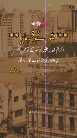 Dear tiktok team don't under review my video🌸😊 #fyp #poetrystatus #aqibaesthetics #urdupoetry  #asthetics 