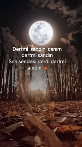 #Son #Bahar 🍂 bendeki dert insanlara guvenmemek bir hastalık oldu 🍁
