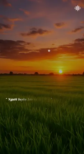 Người luyến lưu cả đời #thautinh #thấutình #nguoiluyenluucadoi #nhacsuy #tâm_trạng_buồn 