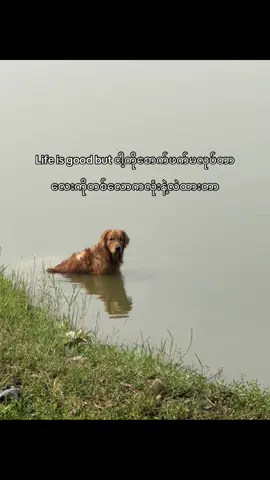 #imjustsaying #fypシ #fypppp #foryou #tiktok 