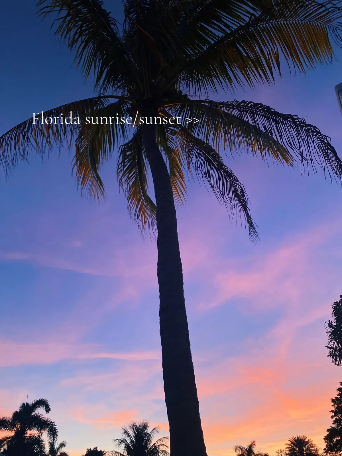 For me, sunrise is a tender ceremony, the Atlantic horizon blushing awake as the Gulf Stream’s warmth meets the cool predawn air. The subtropical climate, shaped by gentle trade winds and humid ocean breezes, paints the sky in layers of rose, gold, and periwinkle.  Rayleigh scattering - sunlight bending through molecules in the moist coastal atmosphere. Negative ions born from breaking waves lift the spirit and settle the nervous system, turning each morning into a divine breath of renewal. By evening, South Florida softens into luminous surrender. As sea and land temperatures shift, cumulus clouds blossom and catch the sun’s final blaze, molten pinks and indigos stretching over the Intracoastal and out to sea. This is nature’s choreography: convection currents lifting moisture skyward, photons scattering into longer, warmer wavelengths. Yet beneath the science is something timeless and feminine — a cosmic exhale that invites you to release the day, to trust the cycles of creation and rest. Here, between the tides and trade winds, the Divine Feminine lives in rhythm. Sunrise is the inhale, a prayer whispered in salt and light; sunset, the exhale, a sacred invitation to soften and begin again. South Florida’s skies remind you that rebirth isn’t an event, it’s a daily ritual written into the ocean’s pulse, a cleansing wave of color and chemistry that purifies body, heart, and spirit. Home ❤️