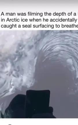 filming the ice and Mother Nature says ‘plot twist’ 🌊🐾 #CaughtOnCamera #UnexpectedMoment #ViralReel #EpicTiming #PerfectShot               