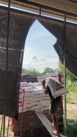 Jawa Barat #petani #petanimuda #petaniindonesia🇮🇩🇮🇩🇮🇩🌿🌿 #pupuk #pupuknonsubsidi 