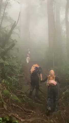 🥹💛@Gunung Tanggamus 2101 Mdpl 