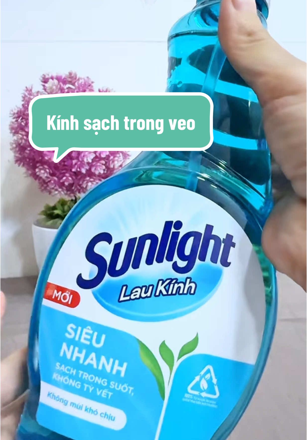 Nước lau kính Sunlight, 5s kính sạch trong veo #sunlight #nuoclaukinh #trongveo #dodungnhabep #nhasach 