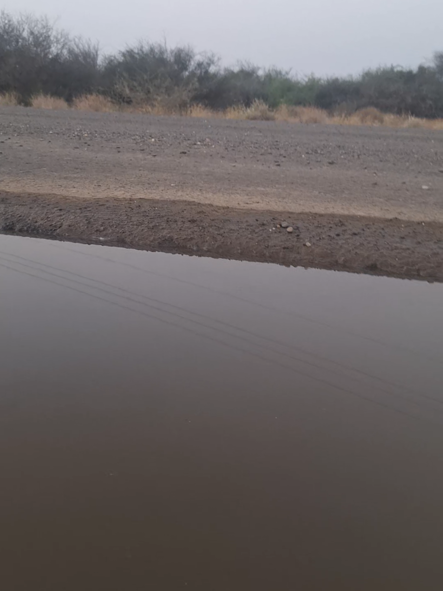 #صباح_الخير #قبائل_جازان_الطمحه #الطمحه_العرجين #الطميحي601 #الطمحه_خماسي 