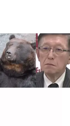 熊#熊#news #おすすめ#今日好き#