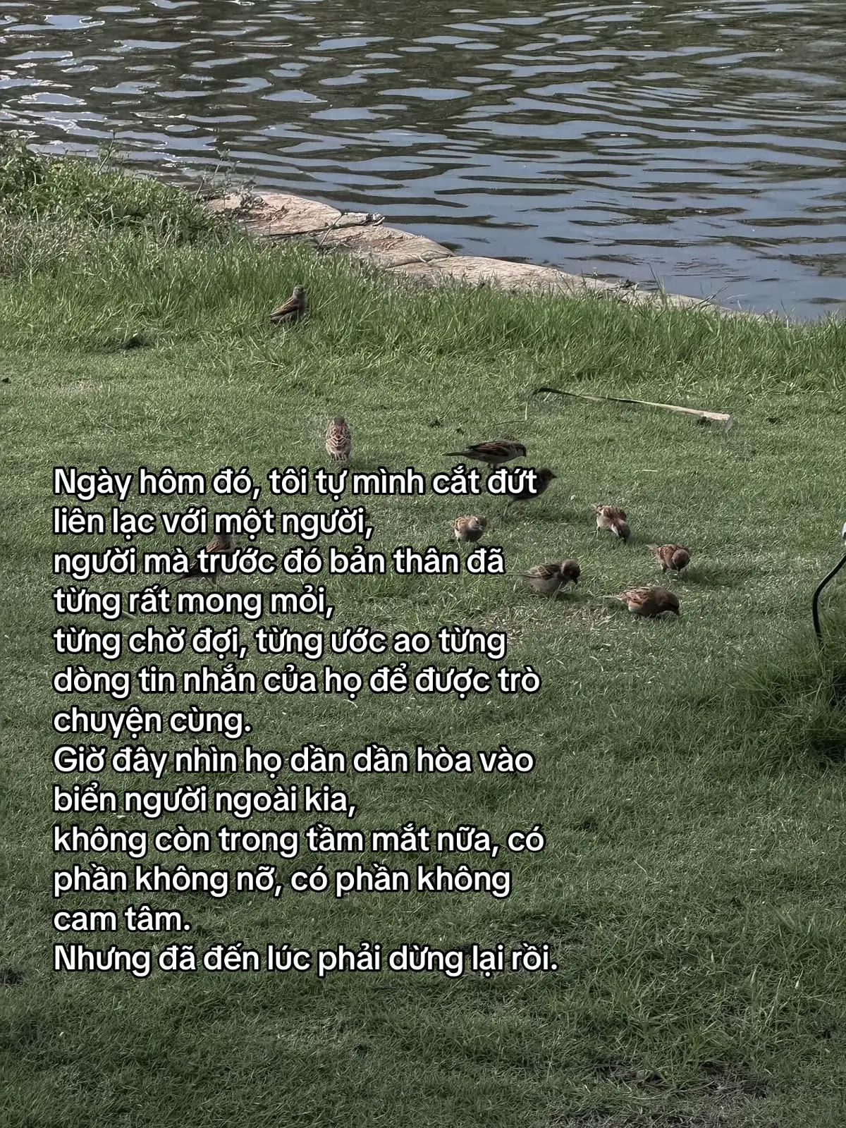 đủ thất vọng tự khắc sẽ rời đi #fyp #xh 