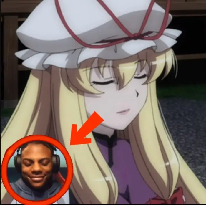 #touhou #touhoumemes #touhouproject #meme #fyp