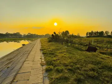 এত করে বলার পর ও কি একটু ও মায়া হয় নাই আমার পতি😅😅#fyppppppppppppppppppppppp #vairal #vairal_video_tiktok #fyyyyyyyyyyyyyyyy #ইচ্ছাপূরণ @TikTok 