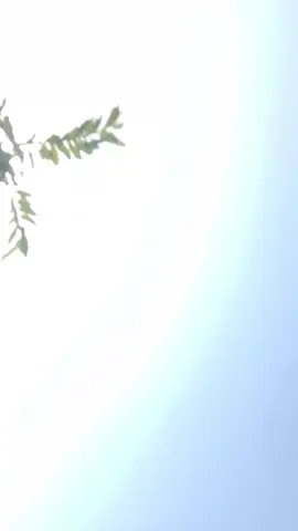 #✌️✌️😎😎🦅