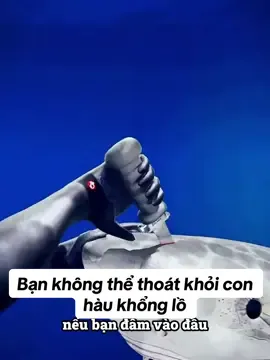 Bạn không thể thoát khỏi con hàu khổng lồ#xuhuong #foryou #fyp 
