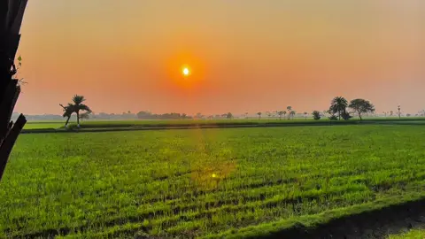 #কে থাকবে কেউ নাই 😩😕#তুমি থাকি যাইয়ো 🥹#tending_video #chuadanga💖 #tiktokbangladesh 