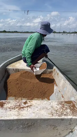 Bớt hút máu lại nha hk 😂😂😂