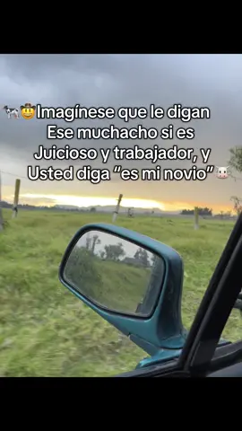 🤠🐄🐮.                                     #ganaderia #ganaderos#ford #viral#atardecer 