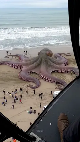 omg giant octopus came to shore😱😳  #ocean #mystery #scary #octopus #shark 