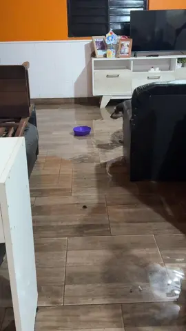 Nos persigue la inundación 😩😫