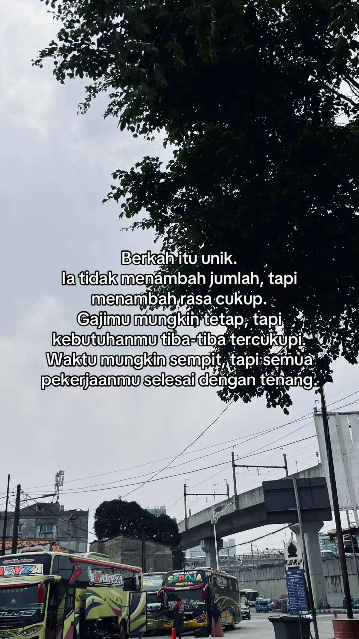 #fypage #fyppppppppppppppppppppppp #fypシ゚ #viraltiktok #yxzcba 