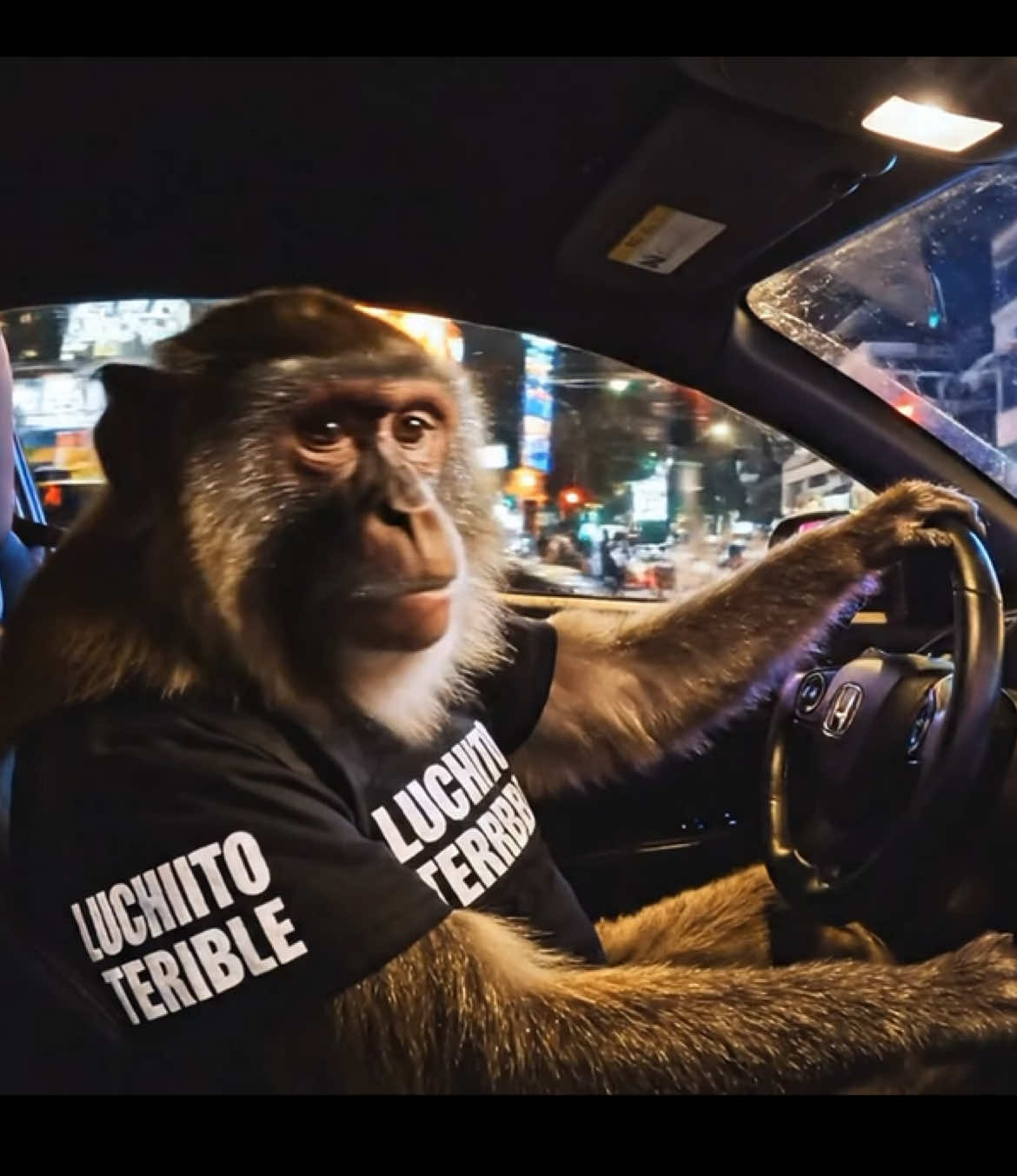 #unased🍻🍻🥵🥵 