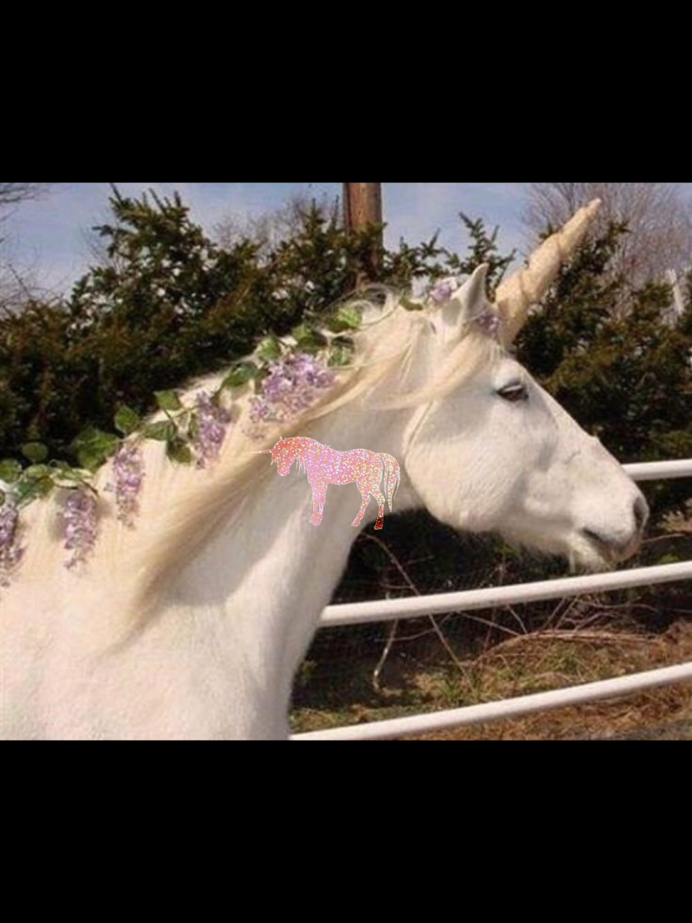 would it be odd if I said I've cried countless times because I can never be a unicorn #unicorn #unicorns #moodboard #moodboardaesthetic #fyp I hate ppl who make unicorns seem evil 😞