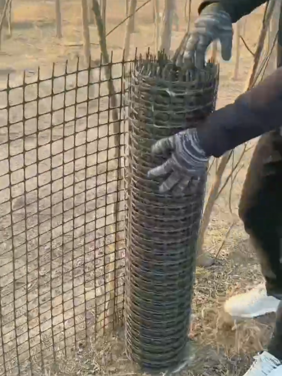 Raising chickens, ducks, geese, pigs,cattle and sheep in the enclosed mountain enclosure farm is very strongand durable # enclosure culture net #corn net # fish pond protection net #plastic fence net # chicken, duck andgoose culture#fyp #foryou #philippines #hardwaretools #tiktokshop 