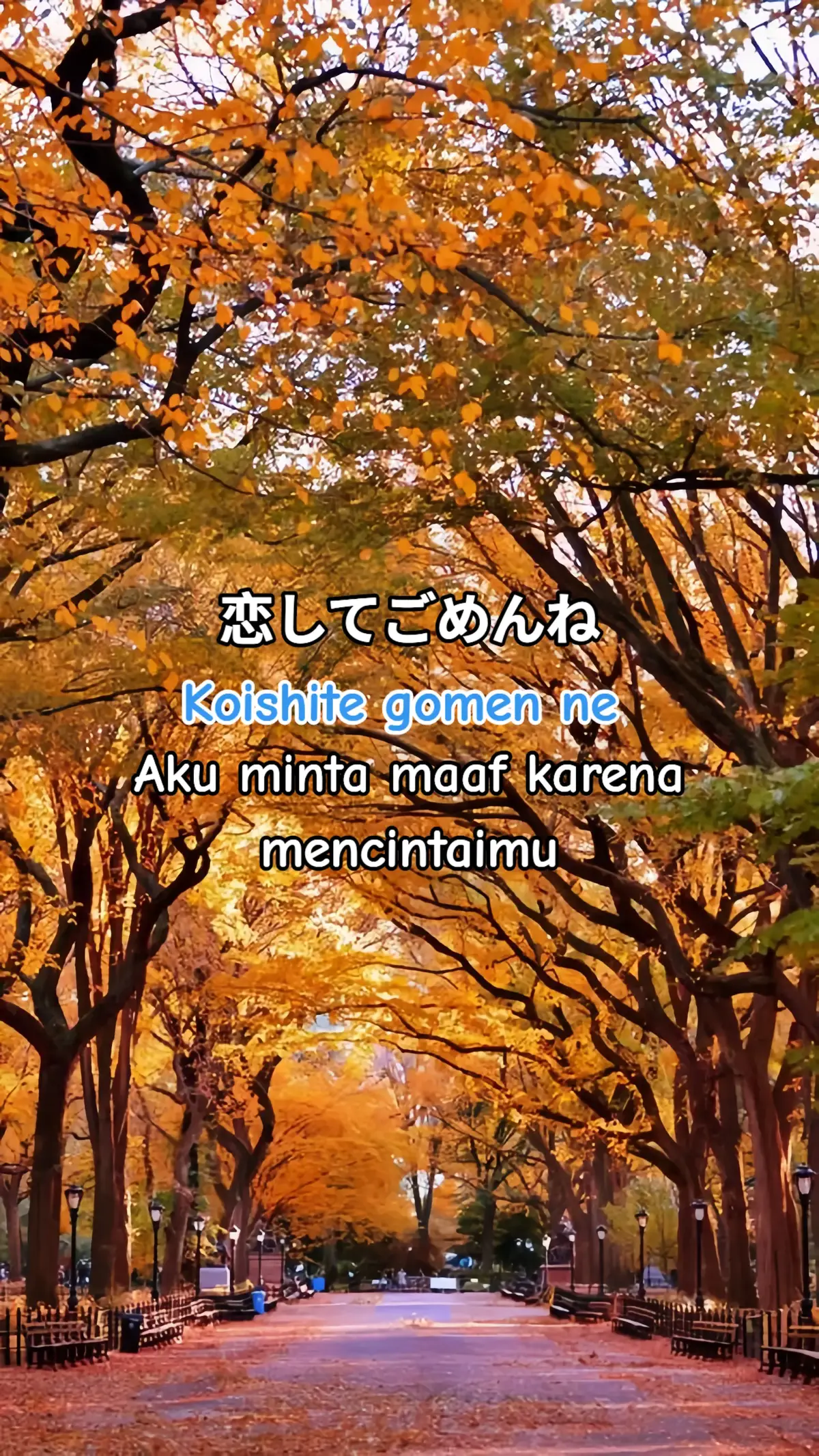 #fyp #ganbatte #kenshuseijapan🇮🇩🇯🇵🎌 #abcxyz 