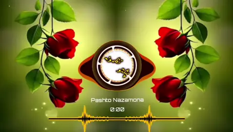 Pashto Nazamona 🥀🥀🥀 #pashto_nazmona #unfrezzmyaccount #viralvideo #standwithukraine #burhantv 