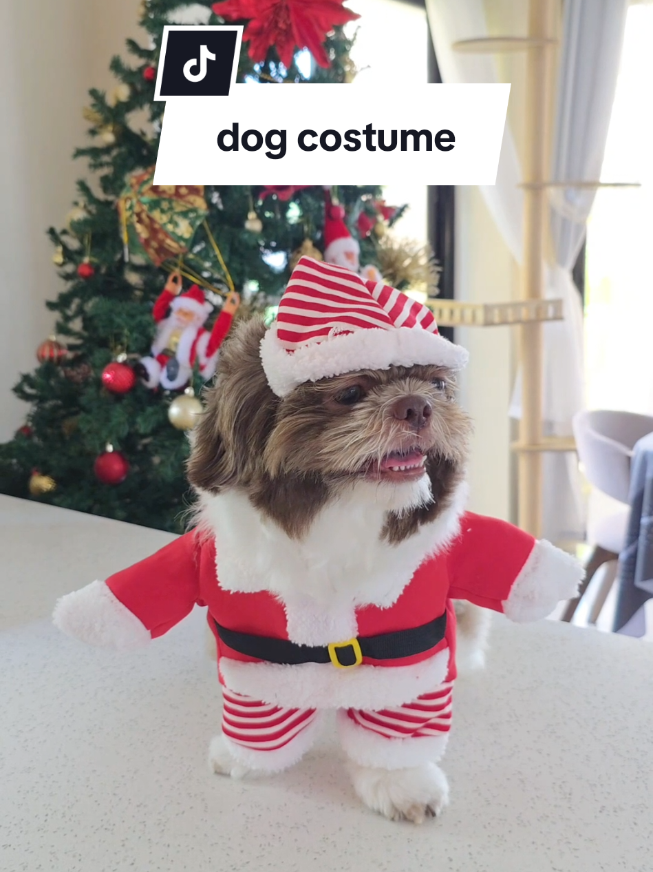 ready na mangaroling sa dog christmas costume ko 🤭 #dogcostume #petcostume #dogchristmas #petclothes #dogsofttiktok 
