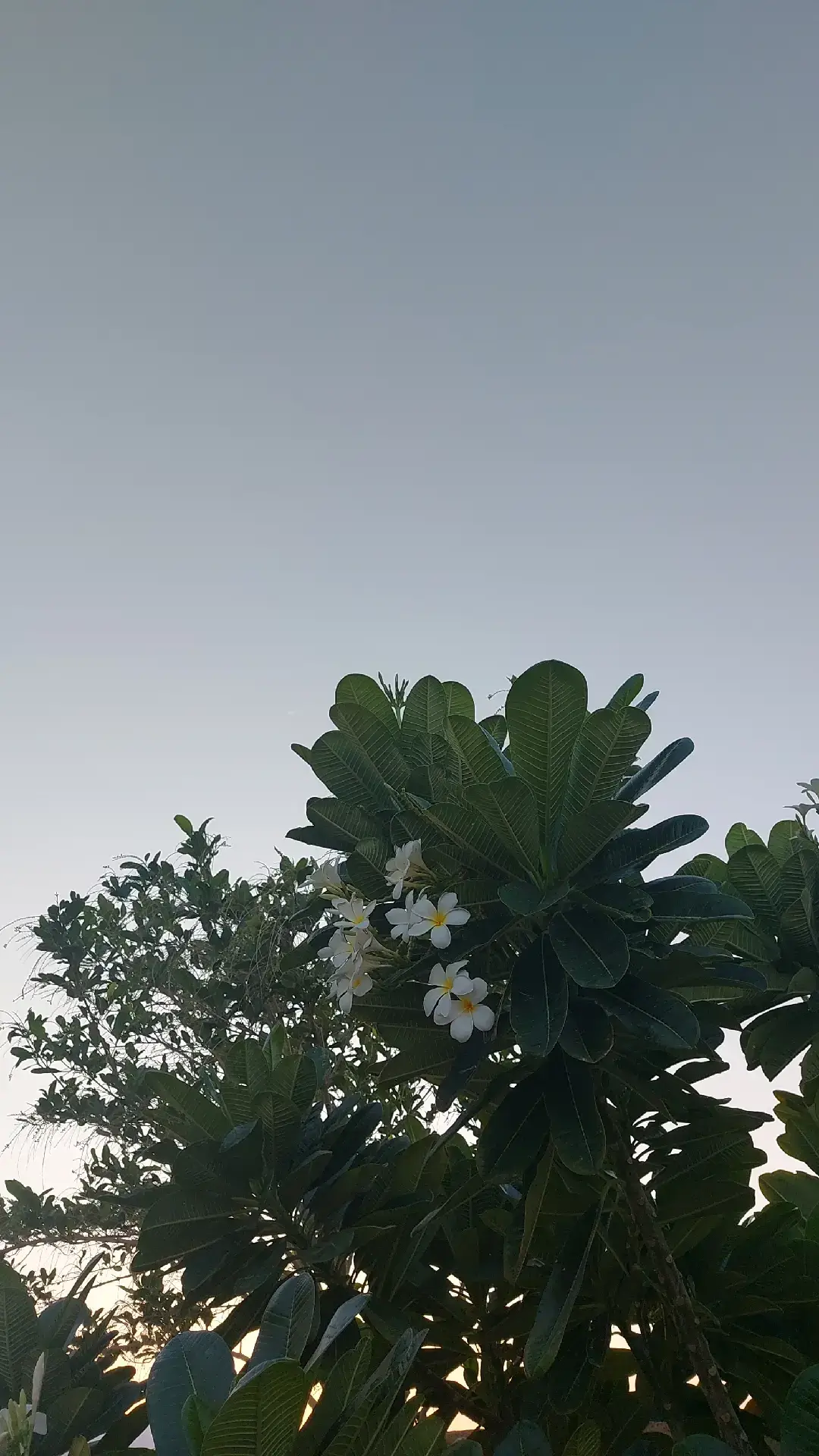 صباح الخير صباح السعاده صباح الأمل بالله  اشراقة يوم جديد نعيشه بكل حب وسعادة  السبت 18 أكتوبر 2025  #الجنوبيه #العرضيات #