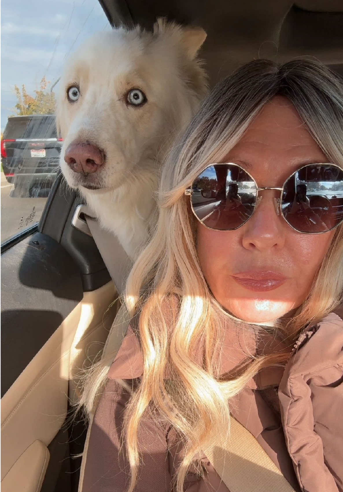 Took the princess on my walk. She’s pooped 4 times and wants to mark her area. Princess for sure! So it was a 3.5 mile walk actually to much for her. But she lived. I get stopped by others saying how gorgeous she is so she’s a distraction for me! 😆 #walking  #barbie #dog 