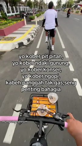 selagi esih due duit yo gas 🤣 #federal #sepedafederal #sepedakalcer #demam26inch #computerbike 
