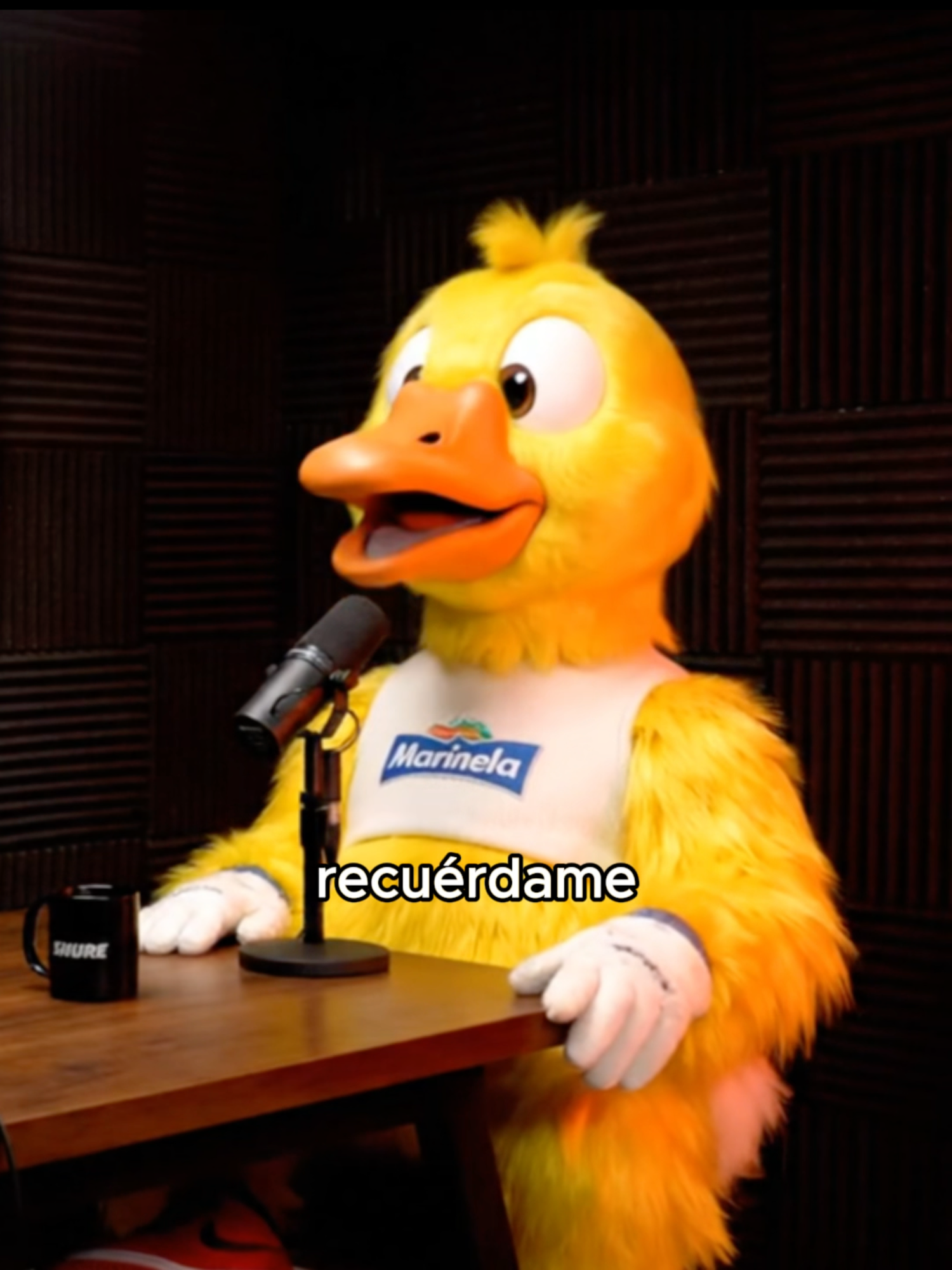 EL GANSITO MARINELA YA NO SE ACUERDA #locuracapuchina #podcast #podcastia