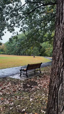 🍂🍁 #autumn #fall #autumnvibes🍁 #fyp #fypシ゚viral 