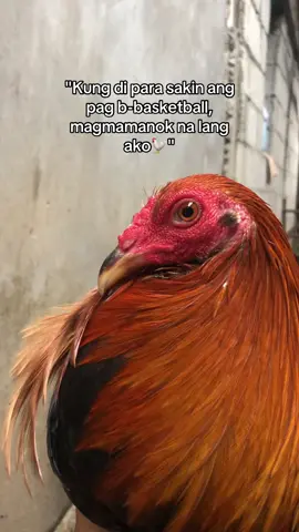 #batangsabongero #sweater#lemon